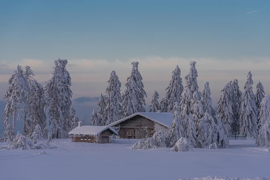 家、冬、雪、木、村、コールド、霧、屋外、山、風景、田舎