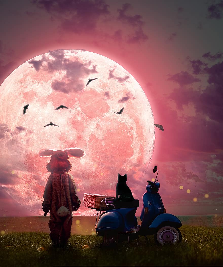 księżyc, królik, skuter, Fantazja, kot, nietoperze, motocykl, światło księżyca, pełnia księżyca, różowe niebo, depresja