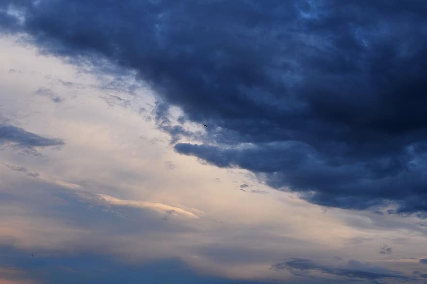 dangus, debesys, kumulusas, „cloudscape“, lauke, oro erdvę, Debesuota, meteorologija, oras, orų prognozė, debesis