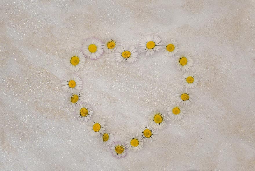 Heart, Daisies, Daisy Chain, Blossoms, Background, Flower Heart, Greeting Card, Copy Space, summer, backgrounds, love