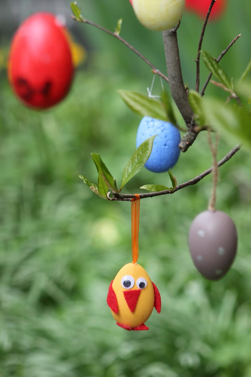 Pasqua, pulcino, uova di Pasqua, decorazioni pasquali, ramo, arbusto