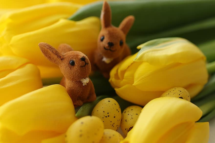 húsvéti tojás, sárga tulipánok, húsvéti dekoráció, húsvéti, virágok, sárga virágok, növényvilág, A húsvéti nyuszik, dekoráció, üdvözlőlap, tulipán