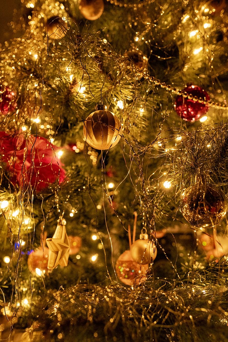 Noel ağacı, tatil, sezon, Noel, dekorasyon, tema, ağaç, kutlama, arka, Noel dekorasyonu, Noel süsü
