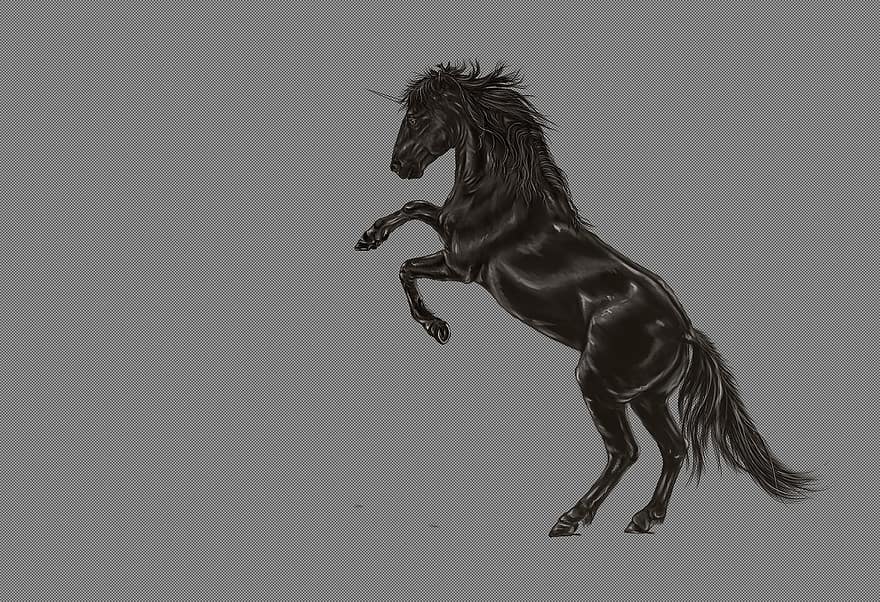 yksisarvinen, musta, hevonen, taide