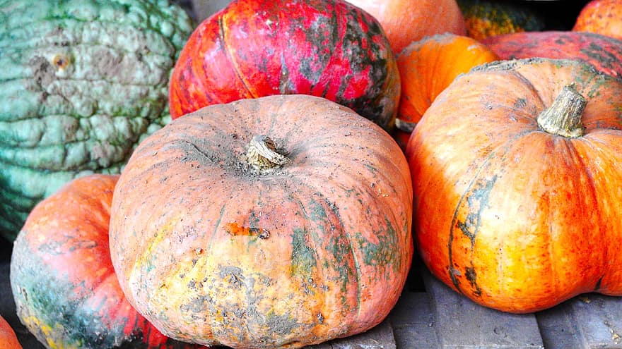 Kürbisse, Gemüse, Halloween, Obst, Lebensmittel