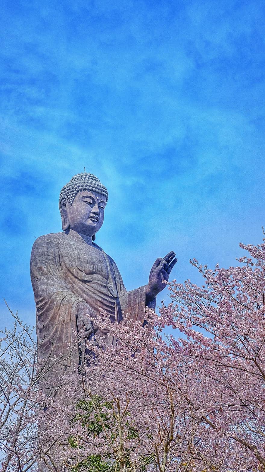 بوذا ، أوشيكو ديبوتسو ، اليابان ، ايباراكي ، تمثال ، النحت ، معلم معروف ، جذب سياحى ، نصب تذكاري ، البوذية ، دين
