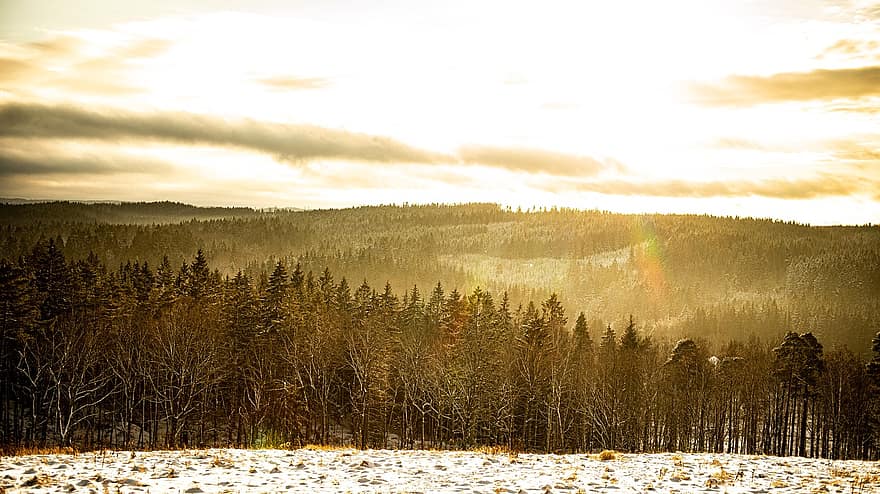 zimní, západ slunce, les, sníh, Švédsko