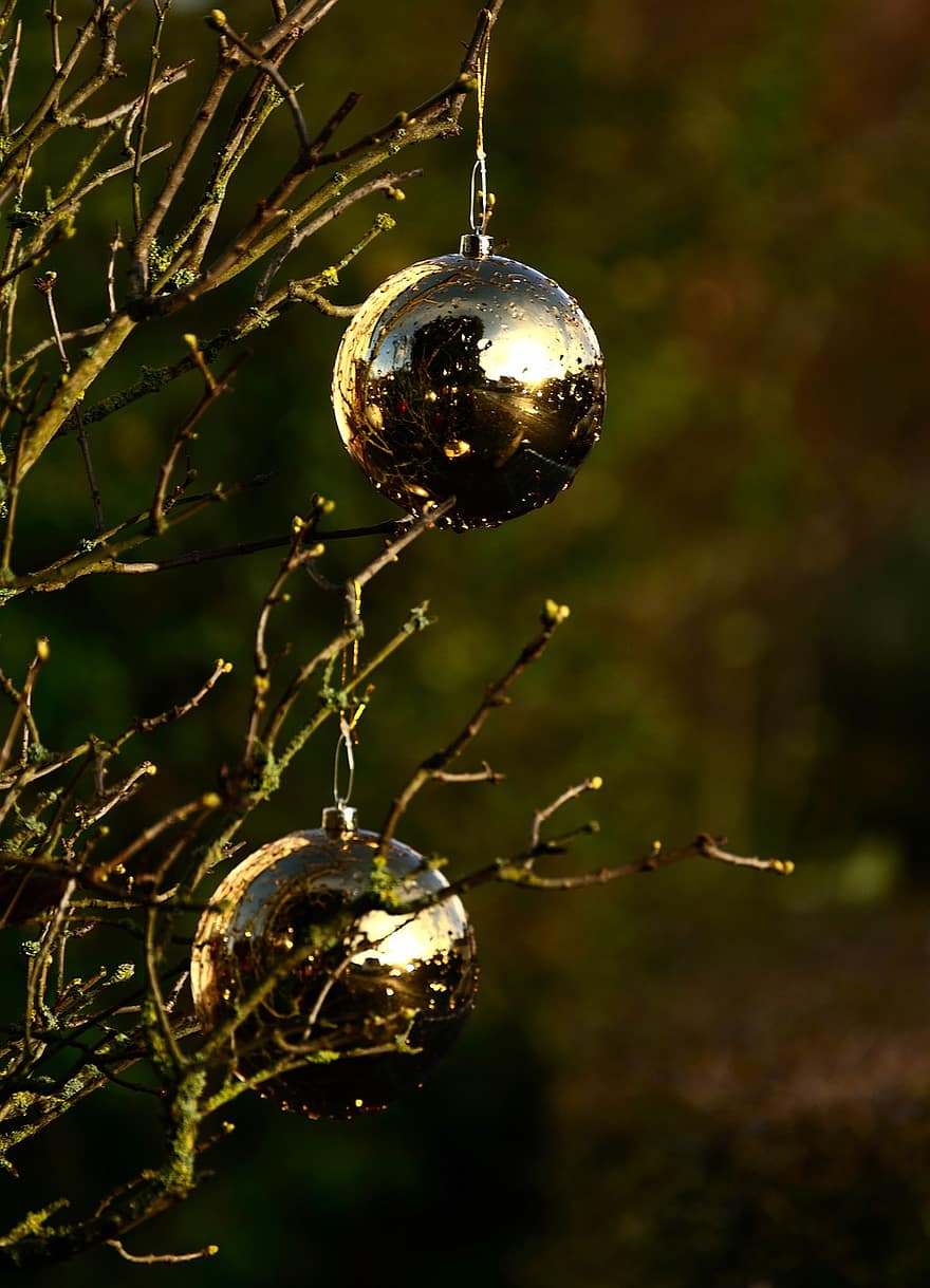 bola natal, dekorasi Natal, dekorasi pohon natal, waktu Natal