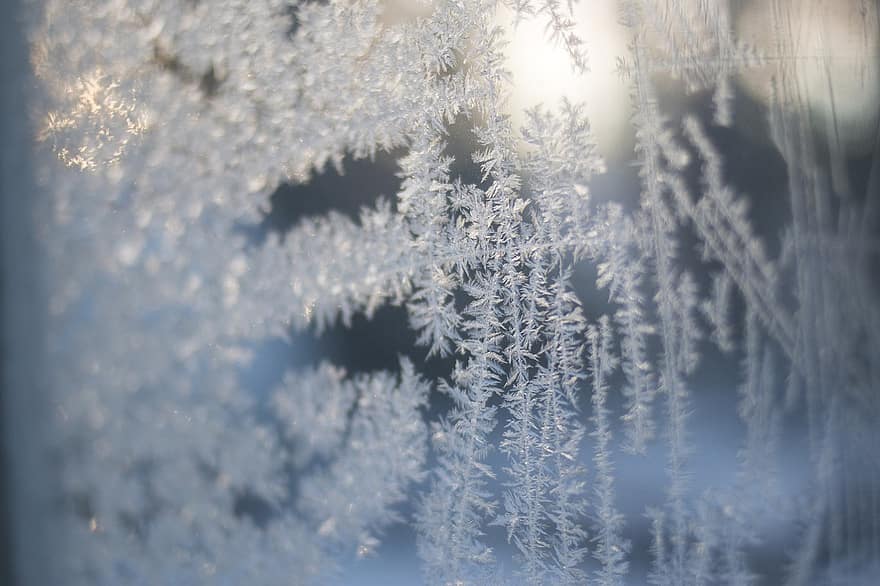 ledas, langas, žiemą, rimtas, ryte, šviesa, šalta, stiklas, modelį