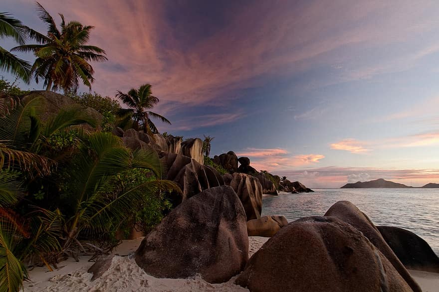 Palm Trees, Ocean, Tropical, Sunset, Sea, Island, Beach, Twilight, Seychelles, La Digue, Anse Source D'argent