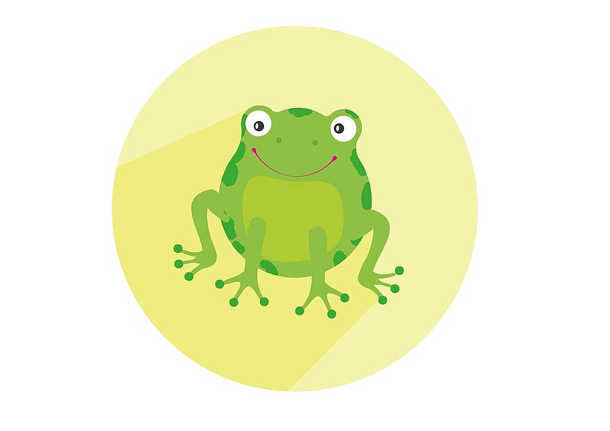 con ếch, con cóc, lưỡng cư, màu xanh lá, Êch cây, ao ếch, ếch nước, thú vật