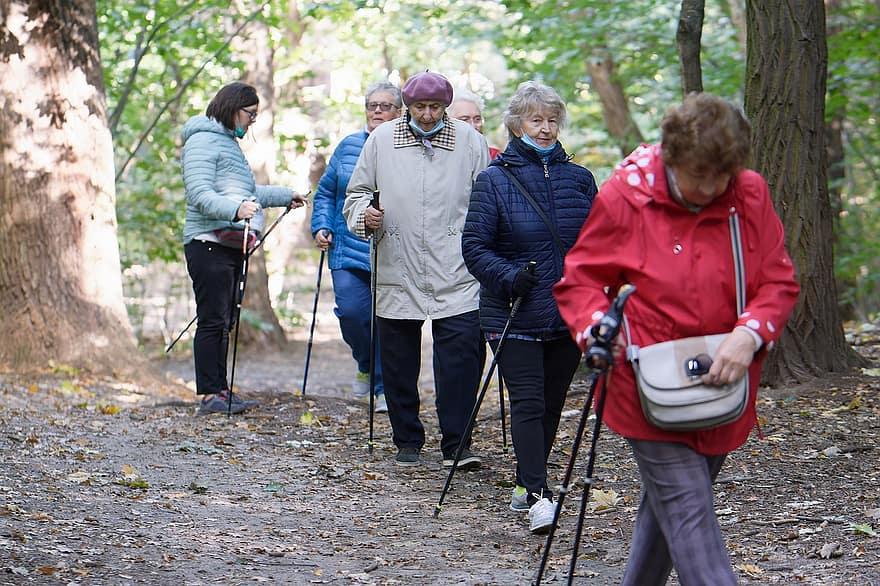 ældre, Skov, trekking, Kvinder, senior-, mennesker, walking sticks, gå, eventyr, rekreation, sti