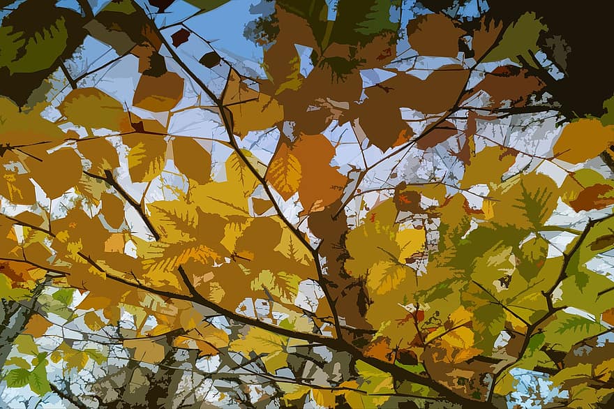 листа, падане, есен, оранжев, жълт, дърво, сезон, небе, син