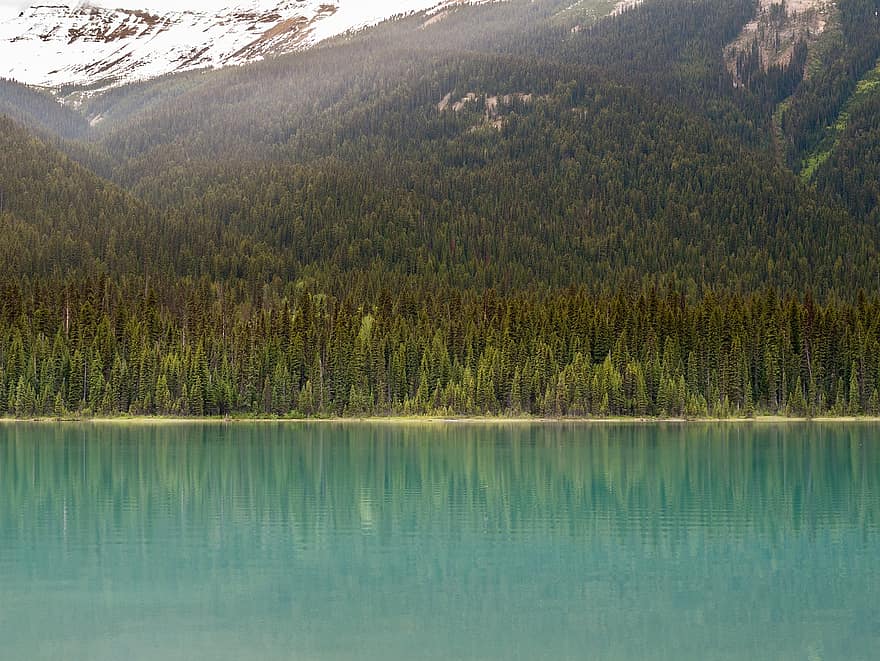 озеро, гора, природа, деревья, лес, Lake Louise, леса, альберта, Канада, снег, декорации
