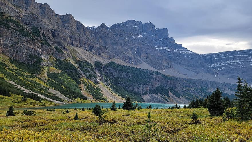 hegyek, tó, fák, tájkép, természet, túra, Alberta
