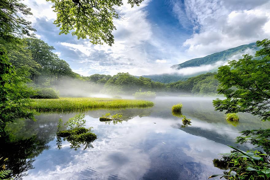 Lac, Montagne, brouillard, réflexion, paysage, brume matinale, forêt de hêtres, Plante des marais, ciel bleu, nuage, préfecture de Yamagata