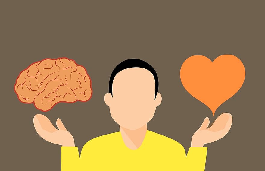 keputusan, otak, jantung, pikiran, sulit, vs., logika, cinta, melawan, pilihan, konfrontasi