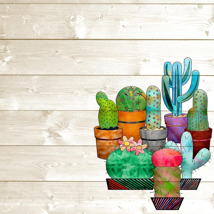 Wood And Cactus Background, Potted Cacti, Wood, Pot, Decoration, Cactus, Plant, Nature, House, Indoors, Table
