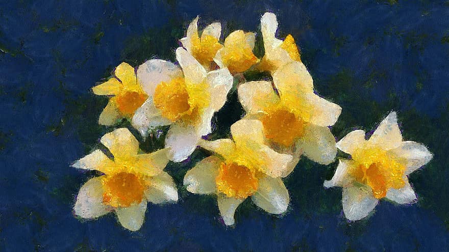 oljemaleri, blomster, Narcissus, planter