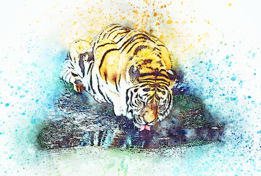 tigris, ital, vad, Művészet, vízfestmény, szüret, macska, állat, póló, művészeti, absztrakt
