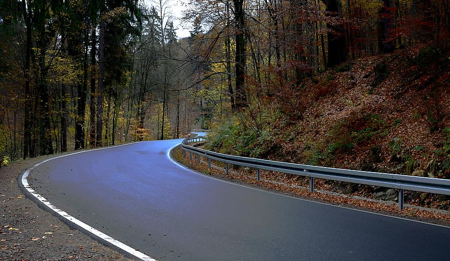 estrada, montanha, arvores, outono, rodovia, estrada da montanha, curva, madeiras, floresta, panorama