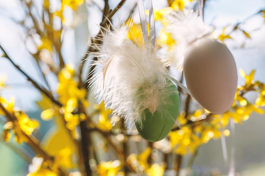 Easter Eggs, Easter, Easter Decor, Easter Decoration, Easter Tree, close-up, springtime, yellow, feather, multi colored, decoration
