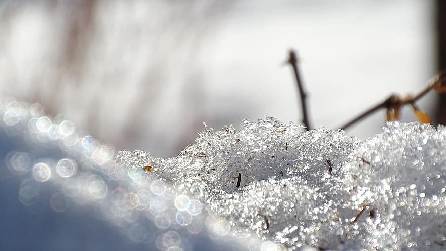 Snow, Ice, Winter, Cold, Frozen, Frost, Magic, Wintry, Nature, Hoarfrost, Close Up