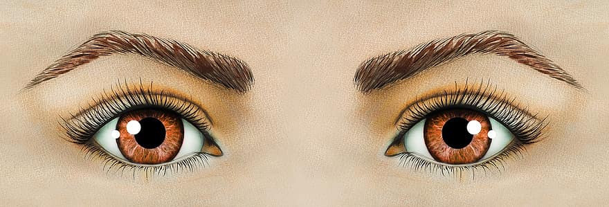 Eyes, Apprentice, Iris, Brown, Eyebrows, Open, Watercolor, Person, Eyelashes, Figure, Eye Map