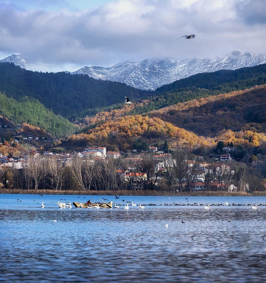 sø, fugle, Grækenland, Kastoria, bjerg