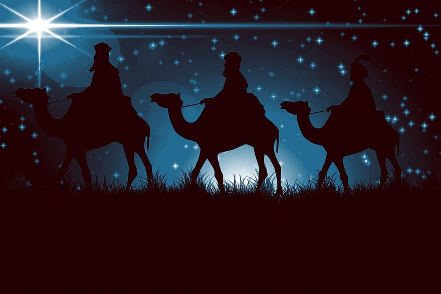komst, ster, heilige drie koningen, koningen, kameel, Kerstmis, poinsettia, festival, familie snel, kerstavond, Kerstman