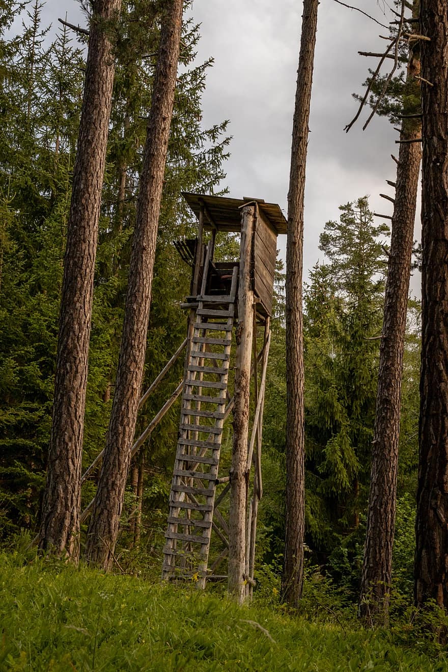 Observatiehut, loge, keet, houten ladder, bomen
