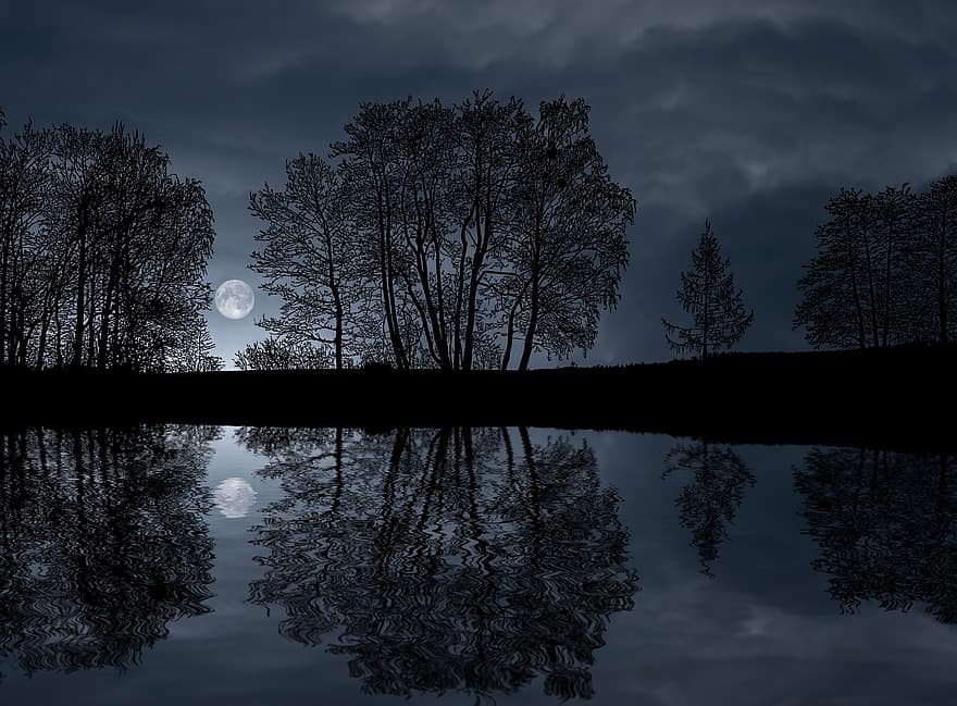 đêm, hồ nước, mặt trăng, cây, Thiên nhiên, trăng tròn, Nước, sự phản chiếu, ánh trăng, hình bóng, tối