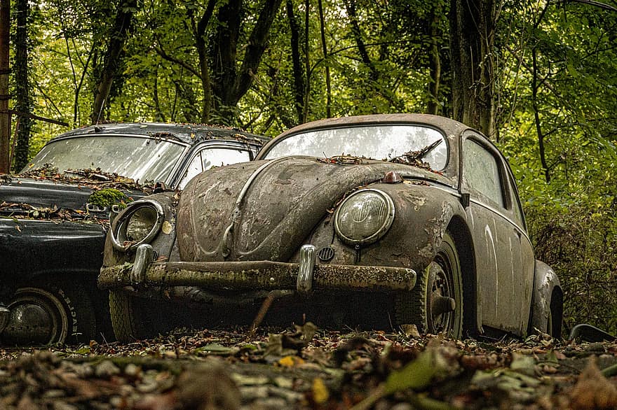 coche, escarabajo, bosque, vehículo, antiguo, vehículo terrestre, anticuado, transporte, cromo, sucio, obsoleto
