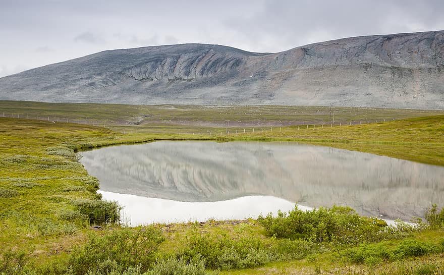 étang, toundra, Norvège, réflexion, eau, montagne en laponie