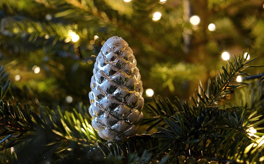 árbol de Navidad, cono de pino, Navidad, abeto, adornos, luces, agujas de pino, luces de Navidad, adornos de navidad, tiempo de Navidad, Decoración navideña