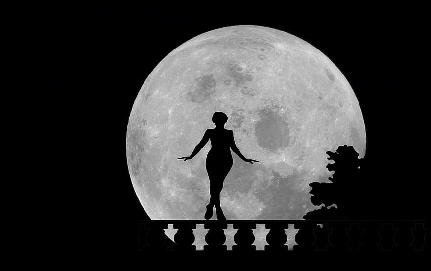 lună, siluetă, noapte, natură