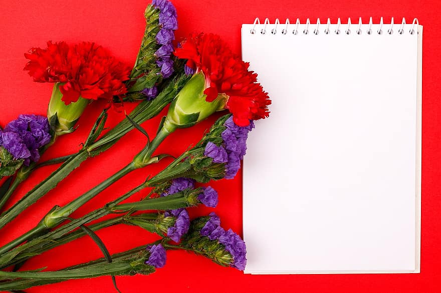 blomster, baggrund, ramme, notesblok, notesbog, papir, grænse, lavendel, statice, kronblade, flor