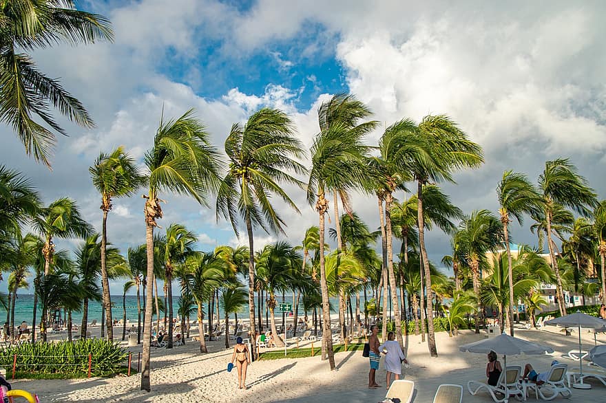 platja, palmeres, Carib, gent, turistes, vacances, festa, sorra, Costa, Riba, tropical