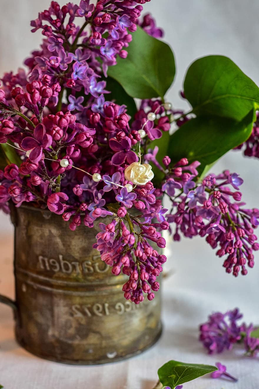ライラック、花束、フラワーズ、植物、紫色の花、花、臍、春、低木、花瓶、自然