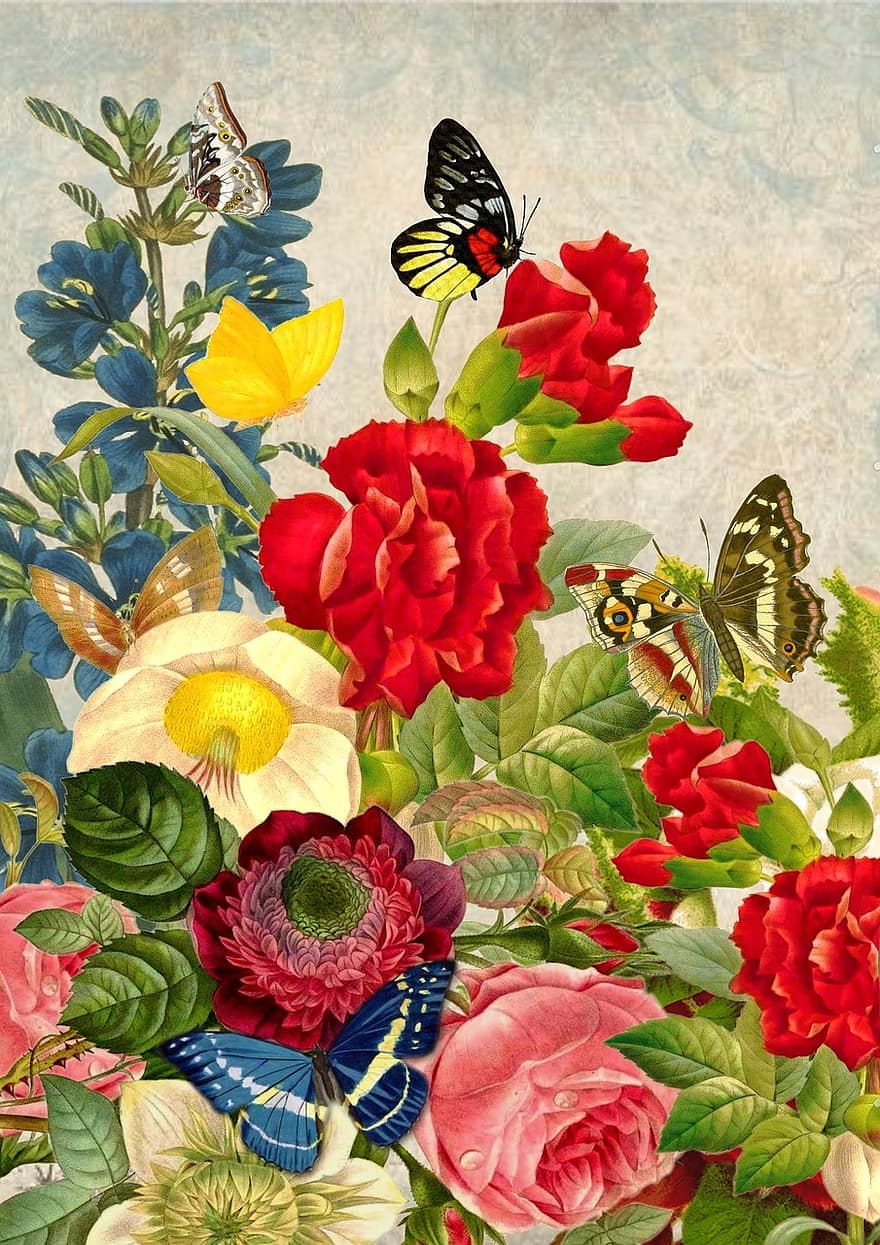 vintage, bunga, kupu-kupu, seni, mawar, putih, berkembang, buket, peduli, warna, karangan bunga