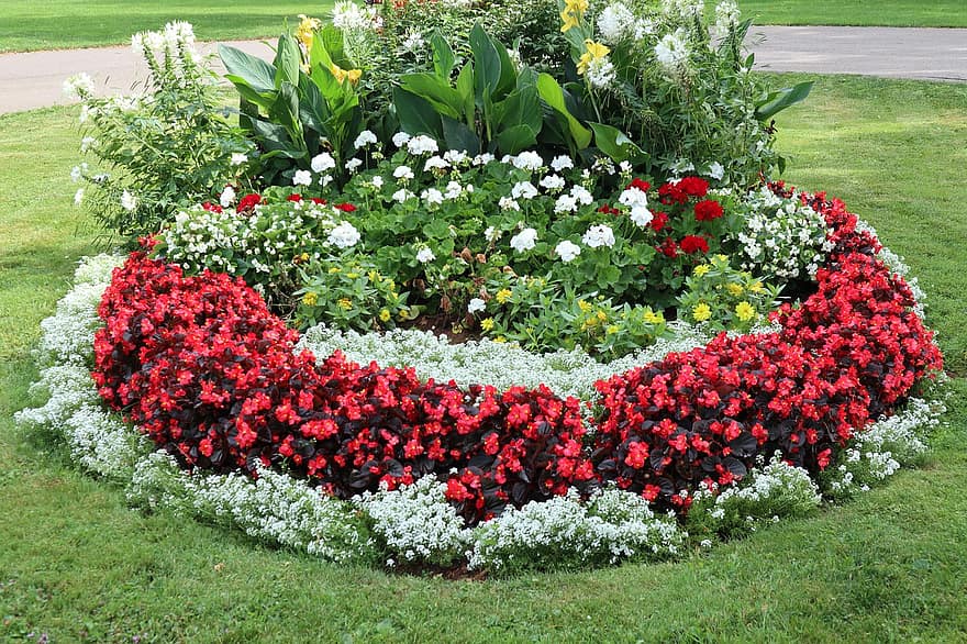 화단, 정원, 꽃들, 샬럿 타운, 캐나다