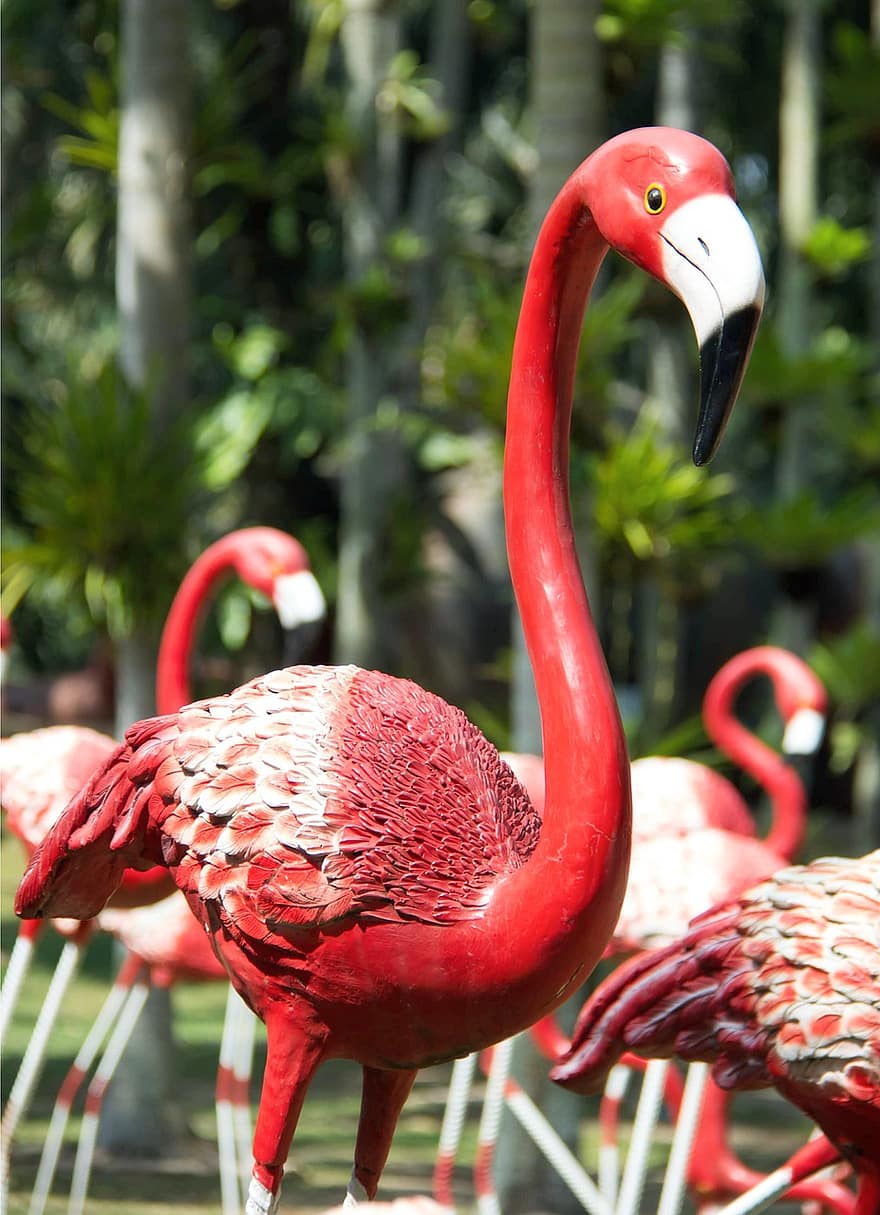 flamingo, pasăre, statuie, sculptură, grădină, pană, cioc, multi colorate, climat tropical, a închide, animale în sălbăticie