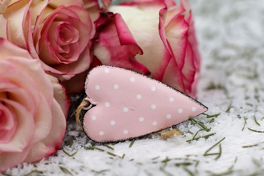 sirds, rozes, dāvana, klāt, mīlestība, attiecības, romantika, Valentīna, Valentīndiena