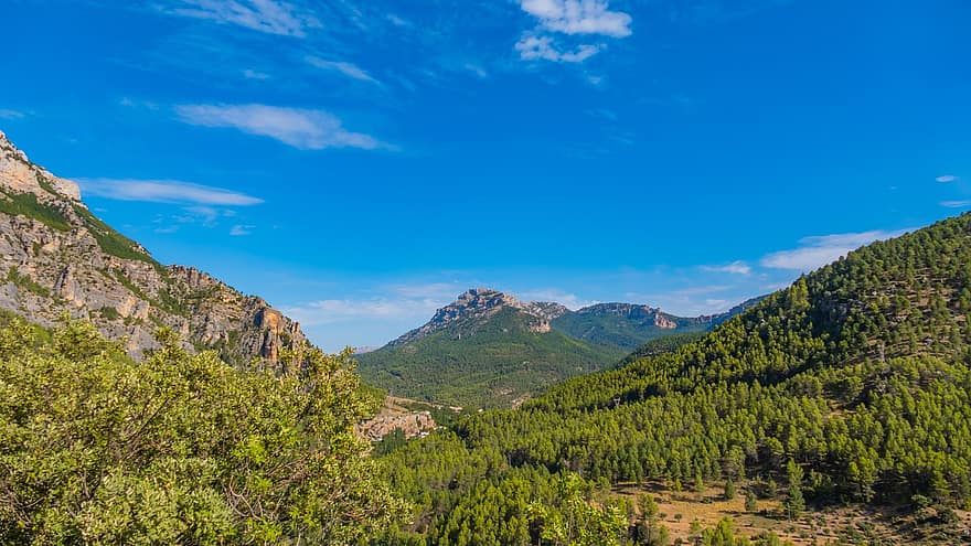 landskab, bjerge, træer, løv, grønne, bjergkæde, højland, landskabet, natur, Skov, Sierra Del Segura
