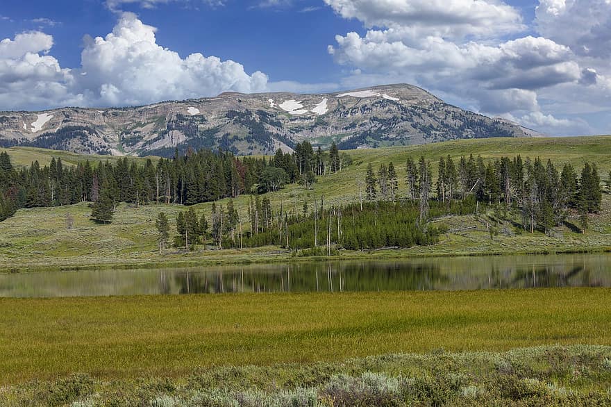 fjellene, nasjonalpark, reise, Yellowstone, utendørs, stille, fredelig, scenisk, bakgrunns, wyoming, natur