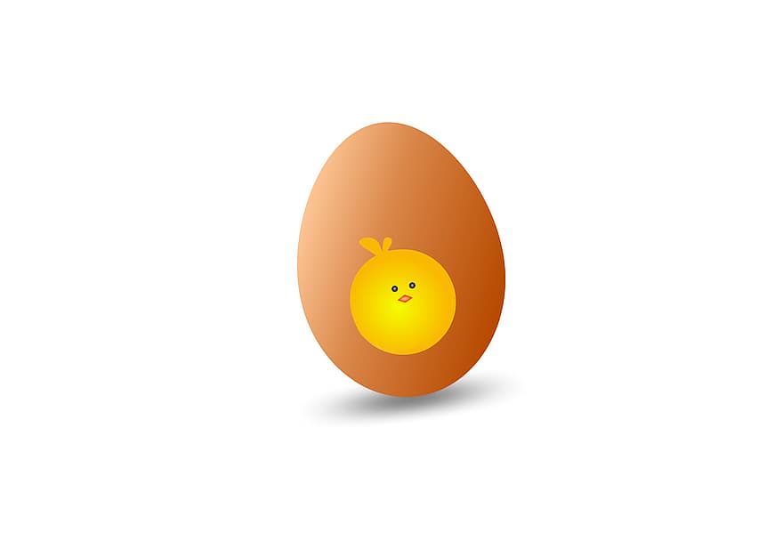 яйцо, цыпленок, курица, птенцы, милый, птица, весна, домашняя птица, природа, смешной, желтый