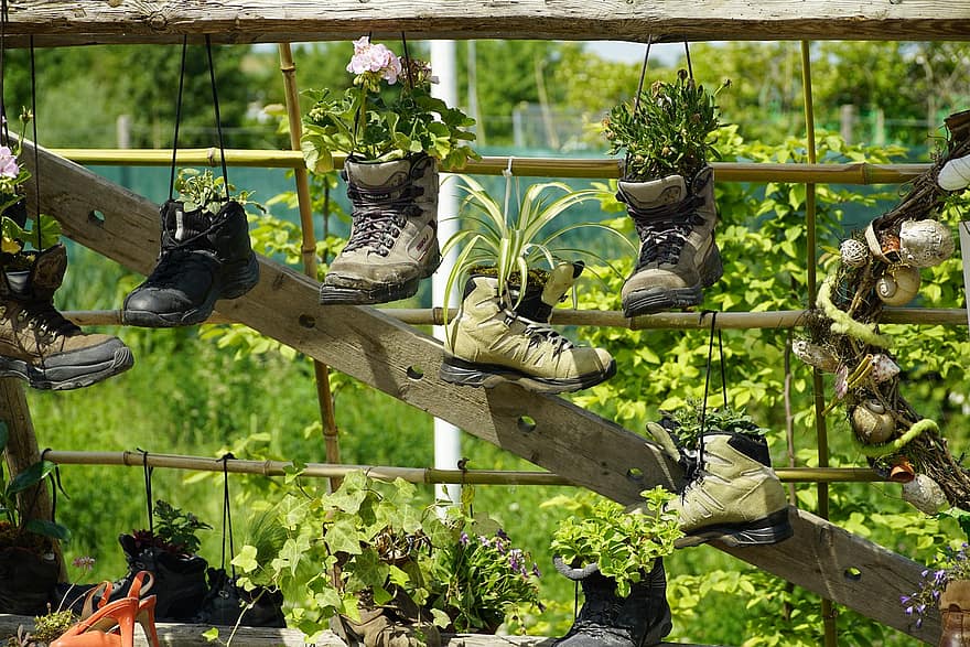 chaussures de marche, des chaussures, pots de fleurs, fleurs, chaussure, agriculture, jardinage, croissance, plante, couleur verte, feuille