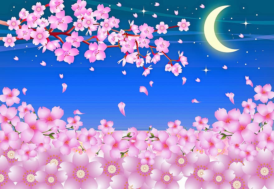さくら、桜の花、夜、月、暗い空、春、花、咲く、日本人、チェリー、パステル