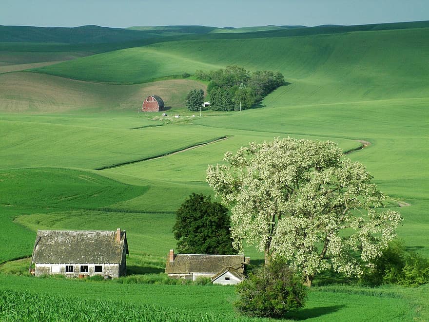 stodoły, pola, wiejski, wiosna, drzewa, pastwisko, gospodarstwo rolne, wzgórza, krajobraz, sceniczny, Wieś