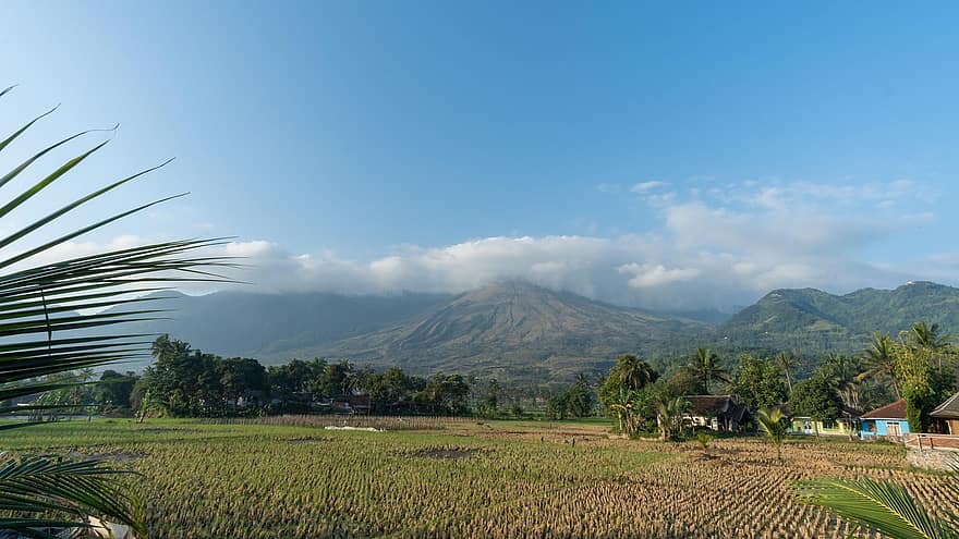βουνό, ρύζι, τοπίο, σύννεφα, εξοχή, ινδονησία, ορίζοντας, φύση, αγροτικός, δέντρο, γρασίδι